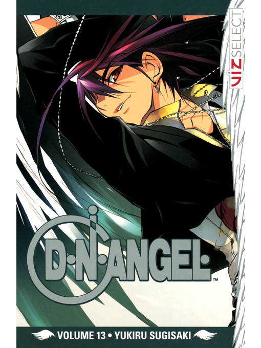 Cover image for D・N・ANGEL, Volume 13